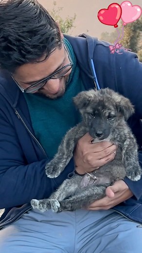 Missing My Dog 😔 | Rakesh Nawani