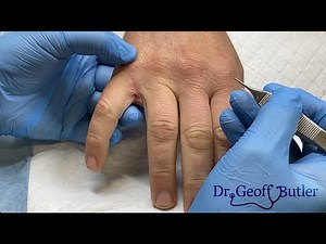 “A tree with strong roots laughs at storms”