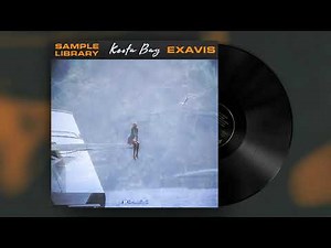 FREE Sample Pack + MIDI / Rod Wave Loop Kit 2021( Emotional Piano, Guitar, R&B, NBA Youngboy )