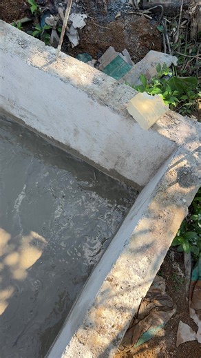 Exploring Tilapia Fishing and Farming in Jamaica