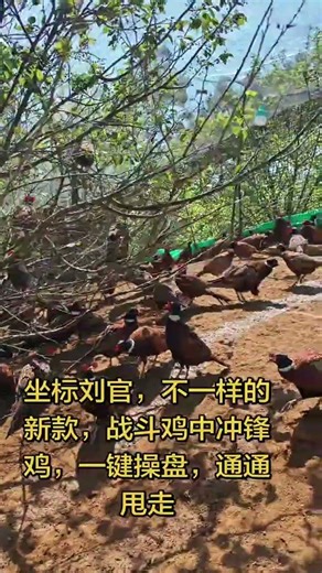 Natural Health Check-Up: Wild Products, Eco-Breeding Secrets