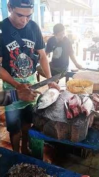 Cutting & fillet skipjack Tuna fish use new knife sharp