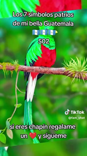 Los 7 Símbolos Patrios de Guatemala: Respeto y Cuidado | Tutorial