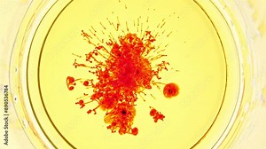 Petri Dishes with Various Bacteria, Tissue and Blood Samples. Virus Testing Samples of Bacteria in Cells at Medical Lab Facility. Concept of Pharmaceutical Research for Antibiotics, Curing Disease. 4k