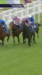 What a ride from Ryan Moore 🐐 | Racing TV