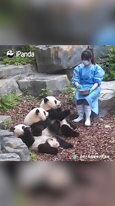 256K views · 29K reactions | Today we hold an apple party at our...