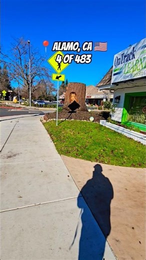 A Peaceful Walk in Alamo, California 🌿#BayArea #EastBay #CaliforniaVibes #CityPOV #ExploreCA