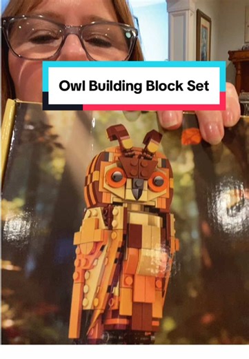 Owl Building Block Model Kit (279 Pieces) This adorable owl building block set is a fun and relaxing build for kids and adults. With 279 precision pieces, it creates a detailed owl figure that’s perfect for display, desk decor, or gifting. Great for improving focus, creativity, and fine motor skills. A budget-friendly building kit that feels way more premium than the price. #OwlBuildingKit #BuildingBlocksToy #AnimalBuildingSet #CreativeBuilding #DeskDecorToy