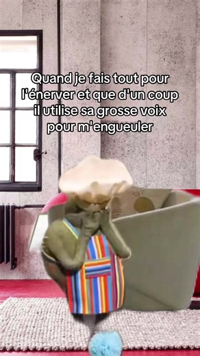 #tiktok #folow #meme #drole #pov