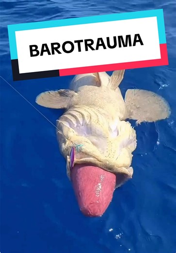 Understanding Barotrauma in Fish: Causes and Solutions