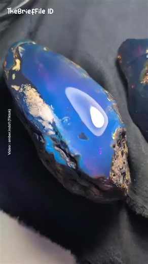 Blue Amber adalah jenis batu ambar langka yang paling terkenal ditemukan di wilayah Republik Dominika dan uniknya di indonesia juga pernah di temukan di daerah sumatera meski tidak sebanyak di dominika dan meksiko, memiliki fenomena optik luar biasa berupa perubahan warna dari kuning kecokelatan menjadi biru neon yang berpendar saat terkena sinar ultraviolet (matahari). Warna biru yang mistis ini bukan berasal dari pigmen, melainkan hasil fluoresensi dari molekul hidrokarbon aromatik yang terper