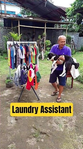Laundry Supervisor on Duty 🐕👀