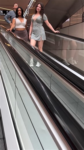 😍 | Frisky Faerie