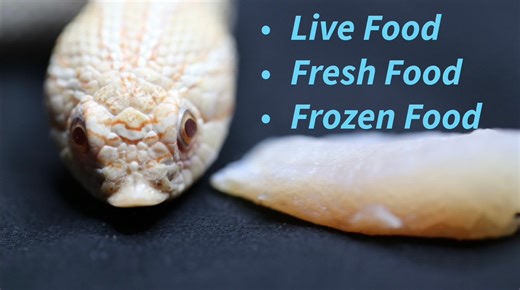 17K views · 479 reactions | Here Are a Few Options to Consider When...