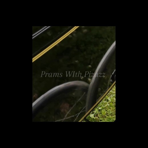 7.9K views · 193 reactions | Mirror shine piano black with hand painted gold coachlines look so luxurious  #100percentbabysafe #vintagesilvercross #fullyinsured #yourpramourpassion #coachbuiltpramspecialists #silvercross #baby #vintagestyle #silvercrosspram #newborn #foryou | Prams with Pizazz | Facebook