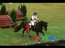 Groton House2 2008 Intermediate Cross Country HORSE JUMPING