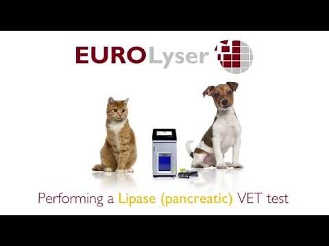 Performing a Lipase (pancreatic) VET test on the Eurolyser solo