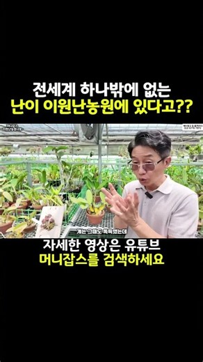 Is there really a one-of-a-kind orchid in the world at Lee Won Orchid Farm?? (feat. Lee Won Orchi...