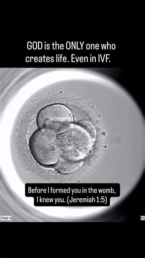 FAITH TO FRUITFULNESS • Ksenija Andric Dawkins, LCSW (Founder) on Instagram: "Sister, life begins when GOD breathes. Not when a doctor intervenes.Not when a clinic prepares a dish. Not when people approve or disapprove of the method. “Before I formed you in the womb, I knew you.” (Jeremiah 1:5) The Scripture here means God initiated the forming. Not the parents. Not the process. Not the circumstances. If God did not authorize a soul… that soul would not exist. Period. People say, “IVF isn’t God’