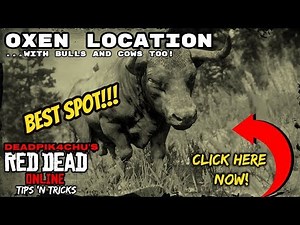 Oxen, Bulls, and Cows Location (Best Spot!!!) | deadPik4chU's Red Dead Online