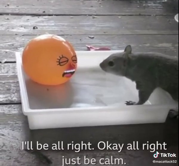 Explore Doodle Bugs: A Fun Animation for Kids