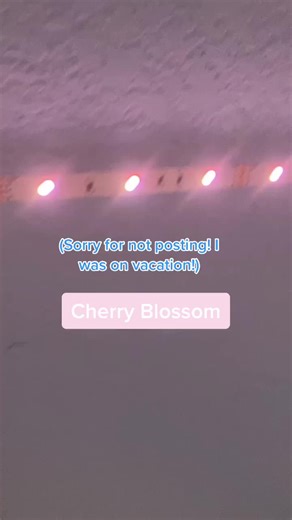 #fyp #fup #foryou #foryour #foryoupage #foryourpage #4u #4you #foru #forupage #4upage #4youpage