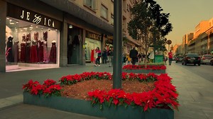 La calle de los vestidos: un paraíso de estilo en el Centro Histórico de la CDMX - México Desconocido