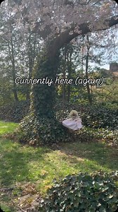 Mastering school drop offs, lunches, emotions, extracurriculars and activities is making this mama feel like momentarily disassociating 😝 😵‍💫 | Itty Bitty the Griff