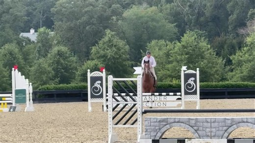 1.3K views · 26 reactions | A whole crew went to Beverly Equestrian this weekend and had so much fun! Beautifully run and everyone is so welcoming. Courses for everyone! And, of course, Quency won all the hearts.  #shanvalleyquency | Pacific Farms Incorporated | Facebook