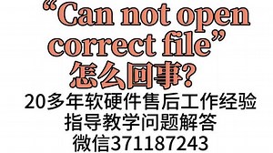 fileopen安装以后无法打印