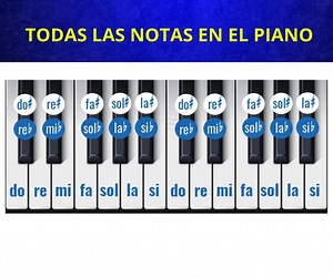 🤯😎¡Descubre el poder del piano! 💫 Mejora tu concentración y memoria con nuestro curso. #maestrodemusica #clasesdemusica #musicaclasica #sinfonia | Aprende Piano Facil