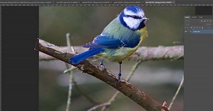 Tuto vidéo : les outils de détourage de Photoshop