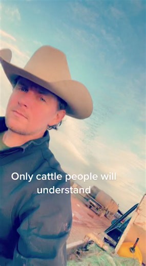 Understanding the Ranch Life: Cattle, Hay, and More