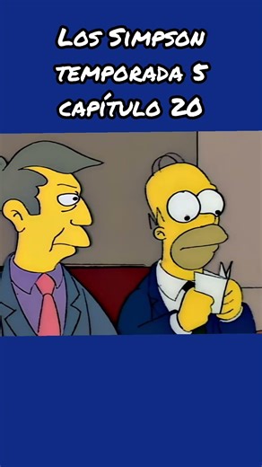 The Simpsons season 5 episode 20 (summary)