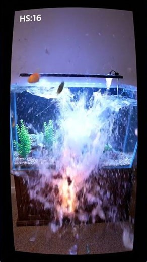 Fish Tank HEATER EXPLOSION! 💥🐠 Caught on Cam