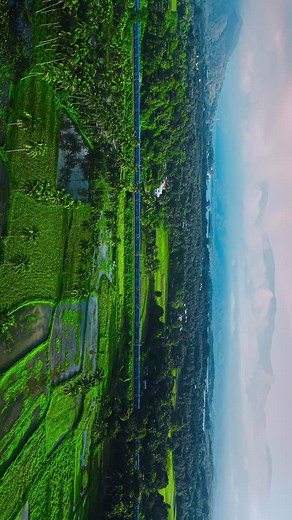 93K views · 11K reactions | Scenic Train routes of Kerala ✨❣️ Location : Villages of Palakkad. #train #indianrailway #trainlovers #palakkad #godsowncountry | tripwithmp | Facebook