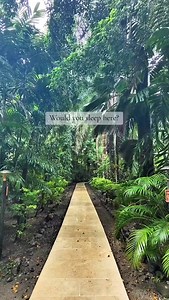 A magical, forest getaway, less than 30 mins from Nadi airport, Fiji | What Katy Did Next