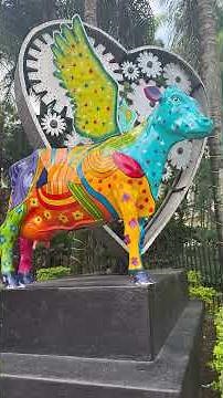 Medellín, Colombia Reggae Vibes