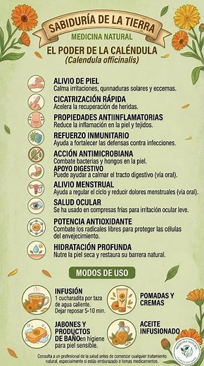 Para que sirve la Caléndula? 🌿 #salud #infusionesnaturales #natural #medicinanatural #herbolaria