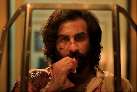 Decoding Animal Song 'Arjan Vailly', Here's The Meaning And Translation