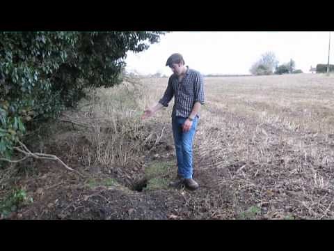 Identifying Badger Setts