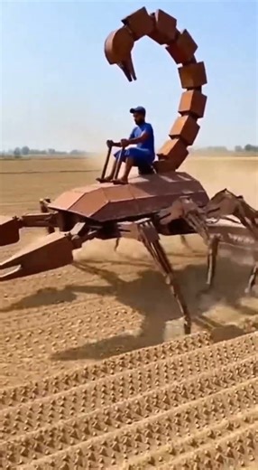 Scorpion Robot build by Young man