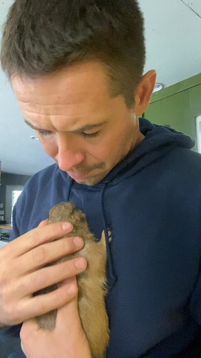 43K views · 3.4K reactions | Sometimes I see one of the animals looking cute and realize I’m not getting anything done until I cuddle with them first. | Goat Daddy's Farm | Facebook