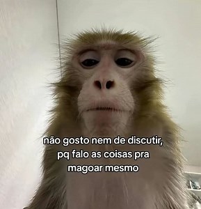 2K views · 30 reactions | Tem alguém assim comenta aí | Videos engracados | Facebook