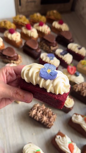 Formation Spéciale (débute mardi ) : Mini Cakes Gourmands & Ganaches Créatives ! 🍰 Apprenez à réaliser une collection unique de mini cakes, déclinés en plusieurs parfums irrésistibles, accompagnés de ganaches et crèmes onctueuses qui subliment chaque bouchée. Que vous soyez passionné(e) de pâtisserie ou débutant(e), cette formation est faite pour vous ! ✨ Les recettes de cakes proposées : • Cake citron • Cake citron aux graines de pavot • Cake Red Velvet • Carrot cake • Banana cake • Cake vanil