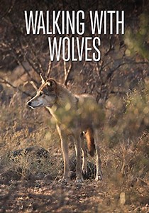 Walking with Wolves streaming: where to watch online?