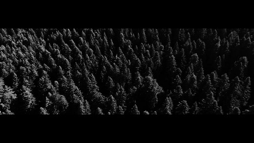 Electromagnetic Battle Management Joint (EMBM-J)