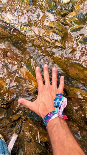 Kaindy Lake Kazakhstan — Guide to the Sunken Forest