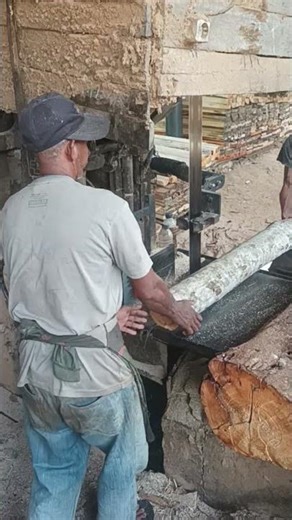 Daily Factory Cutting Alba Logs #shorts #viral #2026 #oprator