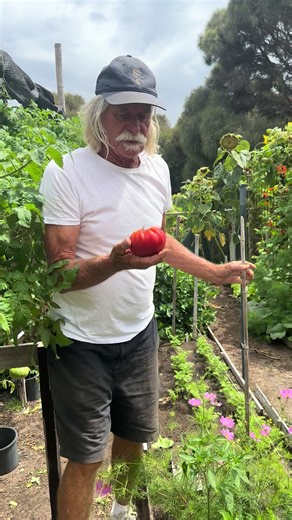 Establishing a Bee Sanctuary at Goldie's Property